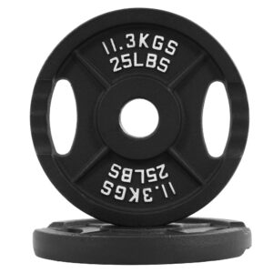 BalanceFrom Traditional 25 lb Solid Iron Weight Plates – Pair of two